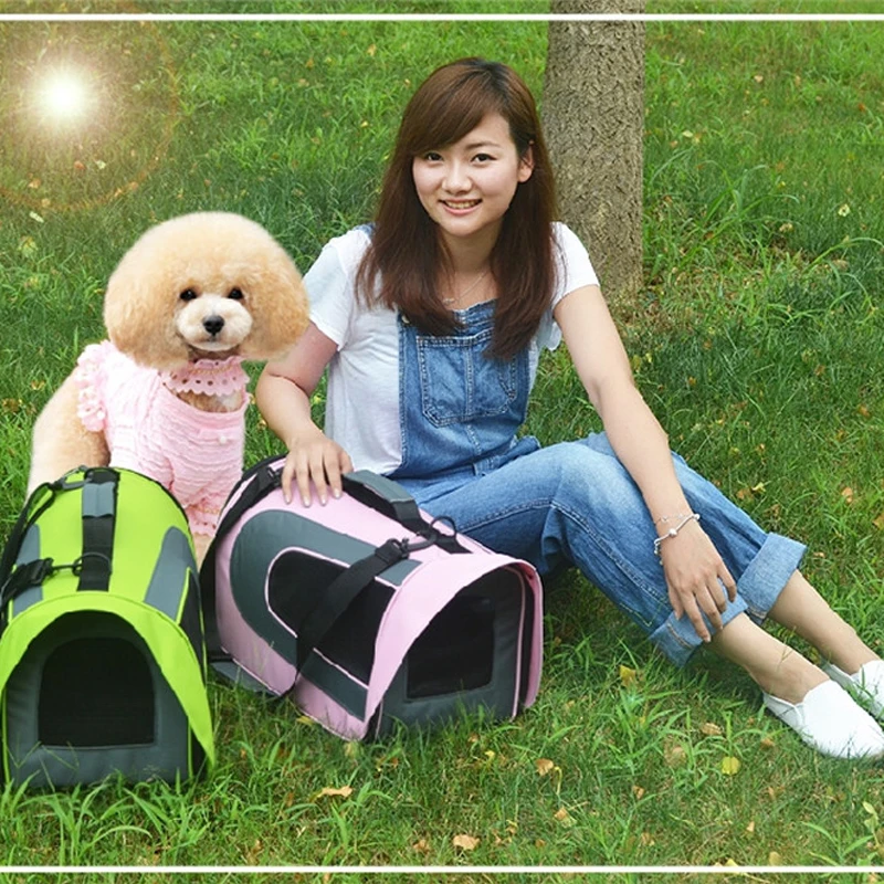 Pet Carrier Dog Bag Pet Airline Approved Carrier for Puppy Cat Small