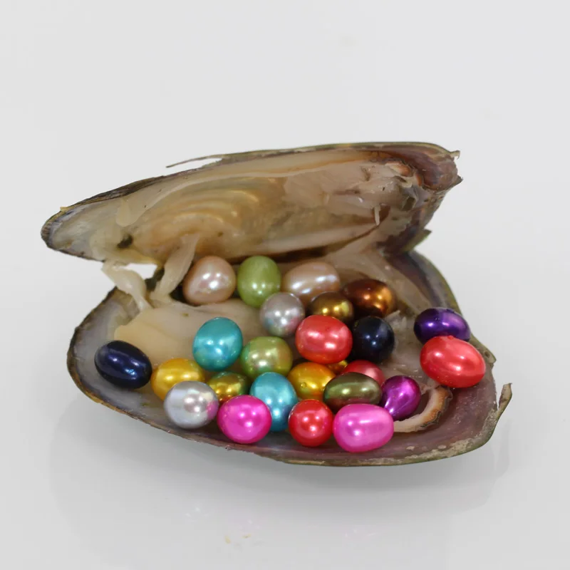 Большой Monster Freshwater Oyster One красочный Жемчуг в форме риса внутри вакуумная упаковка