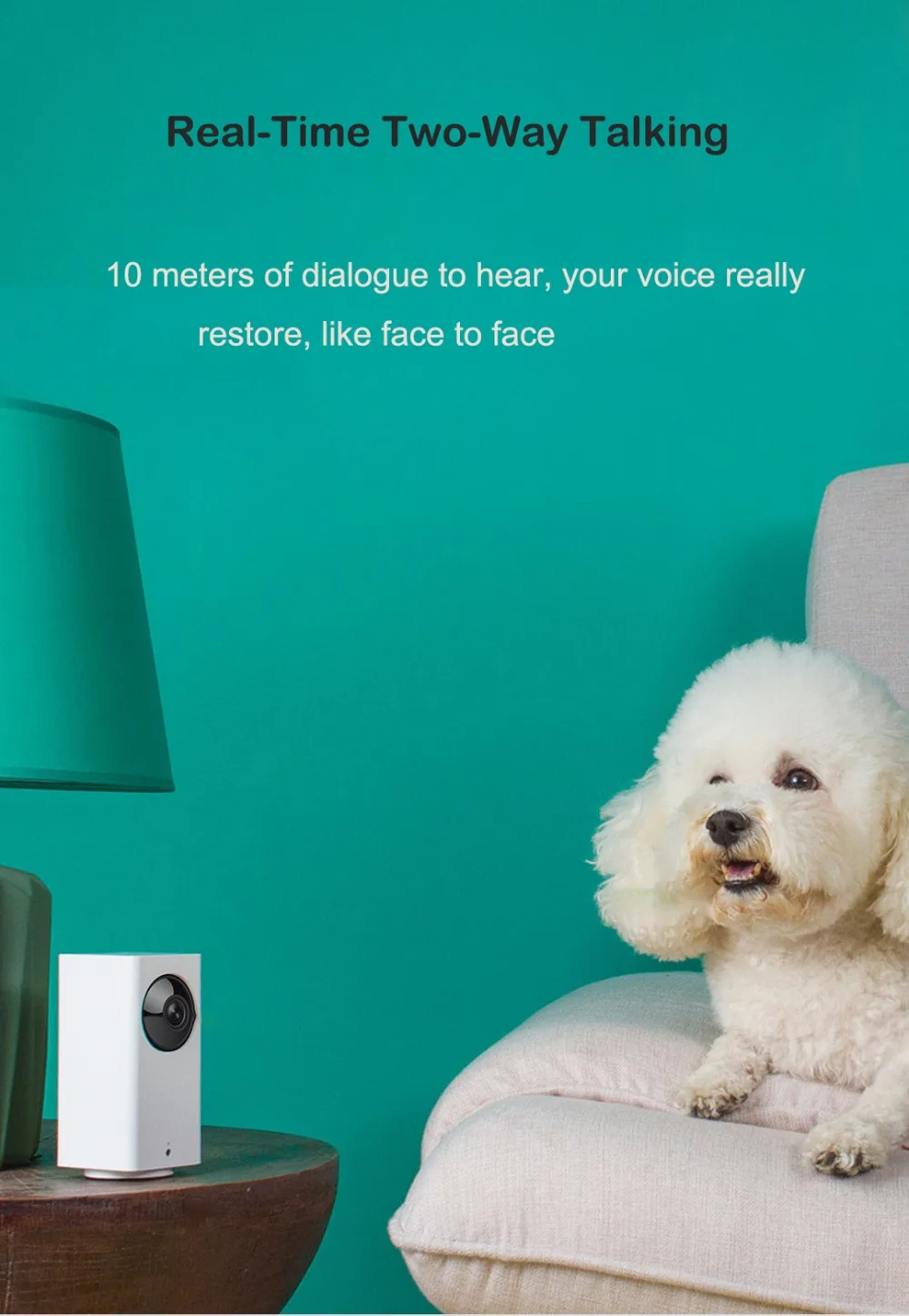 Xiaomi Mijia Dafang Smart IP Cameras (14)
