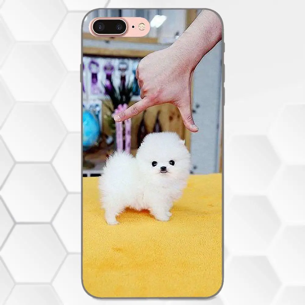 Щенок Померанский 5 для Galaxy C5 C7 J1 J2 J3 J330 J5 J6 J7 J730 2017 Ace Core Duo Max Mini Plus Prime Pro мягкий