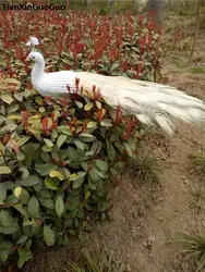 Большой 80 см белые перья павлина жесткий Модель Опора ремесленного дома подарок украшения сада s0309