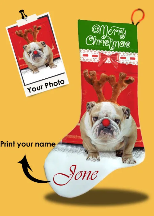 2015 custom petdogcat christmas stockings double sided print your namephotoour designfor your unique pets in christmas from home garden on - Christmas Names For Cats 2015 custom petdogcat christmas stockings double sided print your namephotoour designfor your unique pets in christmas from home garden on - Christmas Names For Cats