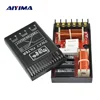 AIYIMA professionnel croisé Audio voiture diviseur de fréquence automatique pour Tweeter Subwoofer haut-parleurs amplificateur de puissance conseil Home cinéma ► Photo 1/6