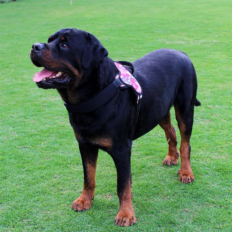 Tuff Hound средний и собачий ошейник большого размера утолщенный взрывозащищенный Анти-задний ремень для прогулок собаки