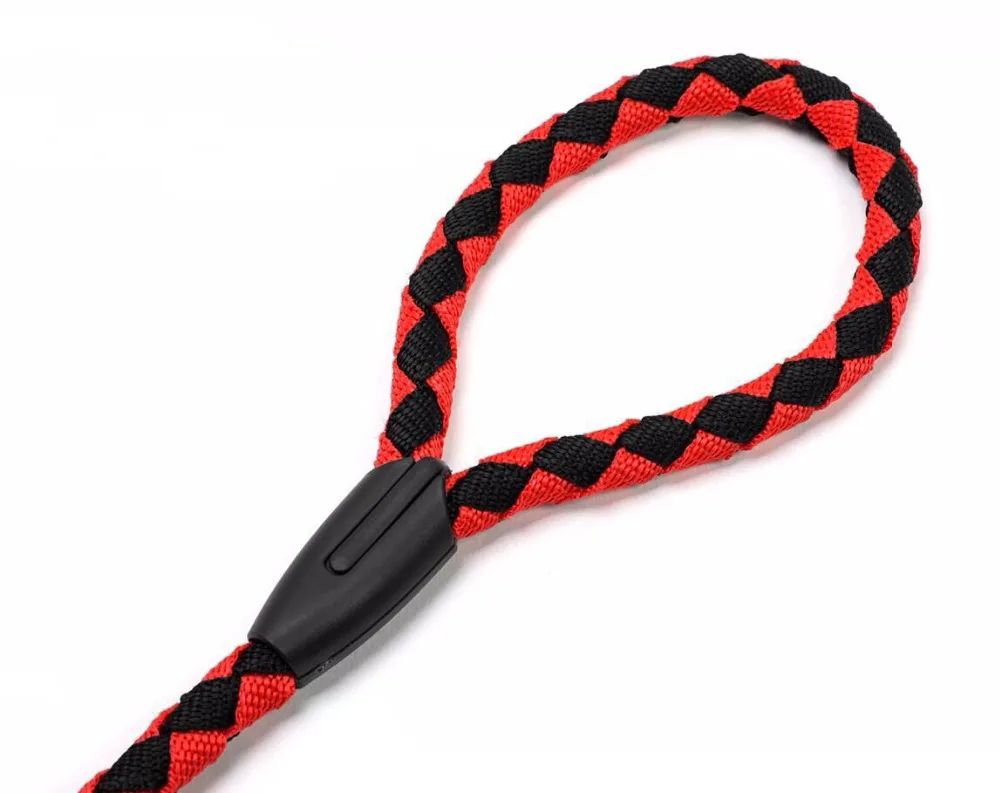 4208041663_1115757133