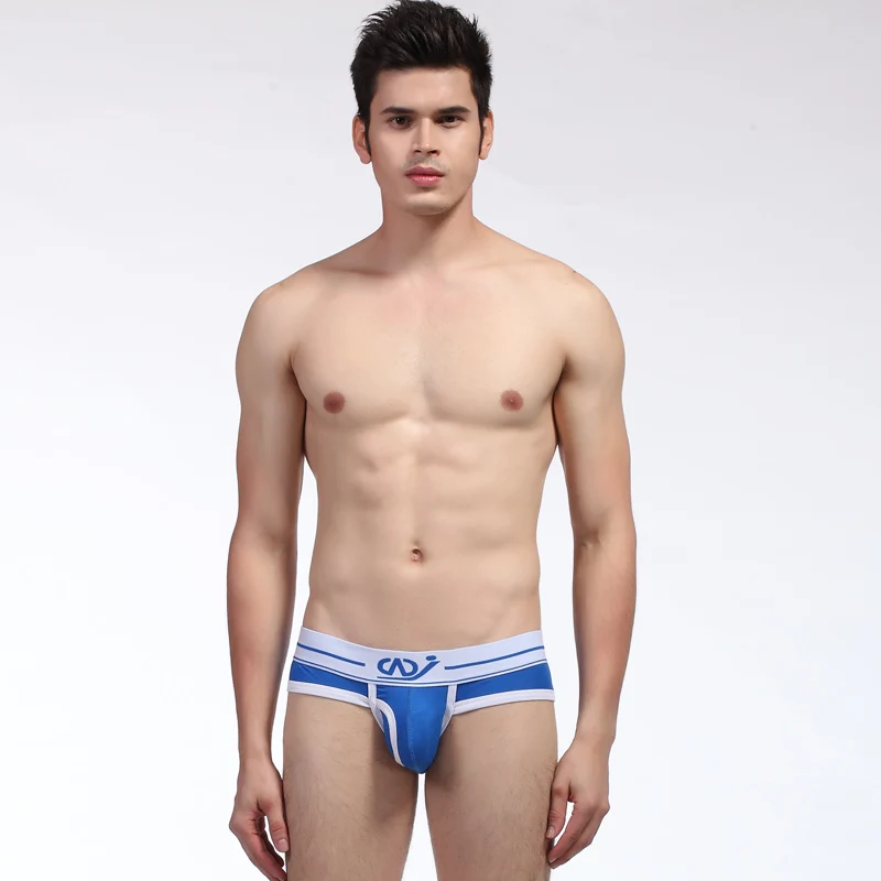 New 2016 Men Underwear Brand Mens Briefs Fine Smooth Modal Mens Sexy