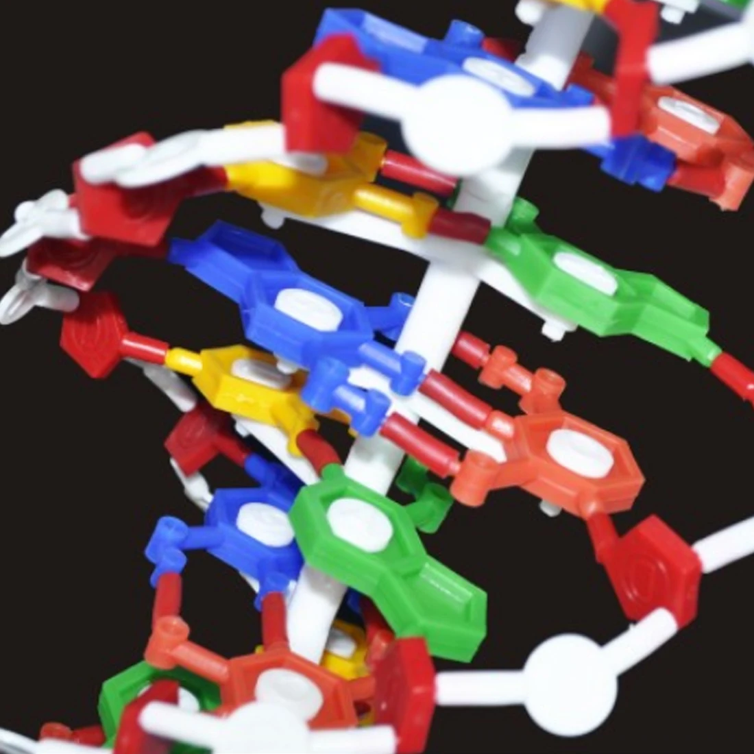 Outils pédagogiques de biologie Surwish modèle de Structure d'adn accessoires éducatifs équipement d'étude d'adn-L - 5