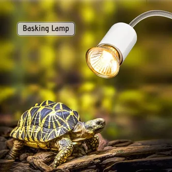 

25W Halogen Heat Lamp UVA UVB Basking Lamp Heater Light Bulb for Reptiles Lizard Turtle Aquarium