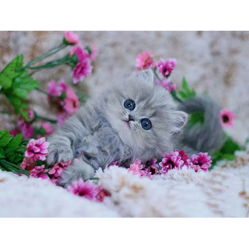

5D DIY diamond embroidery gray kitten with florals diamond painting Cross Stitch full square Rhinestone decoration gift KBL