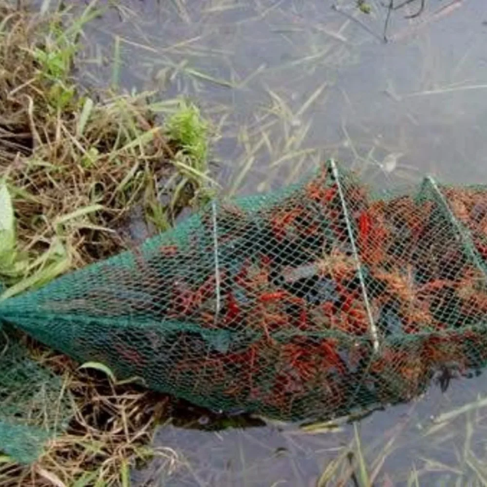 fishing cage picture