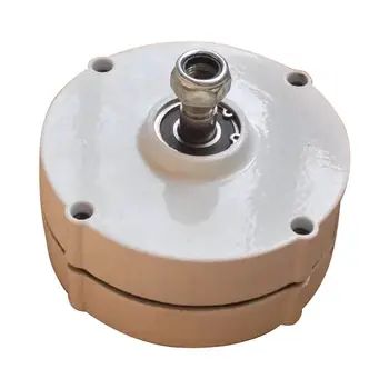 

Rare Earth 300W 12V 24v Low Rpm Permanent Magnet Generator for sale