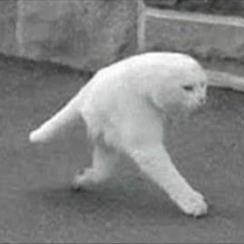 这都是什么神奇的猫?画师二次元化各种有趣猫图 八卦杂谈 模玩萌物 |趣动漫 这都是什么神奇的猫?画师二次元化各种有趣猫图- 趣动漫