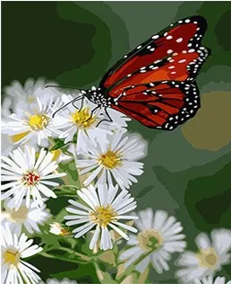 

MaHuaf-X527 Daisies and butterfly DIY oil painting by numbers Hand Painted Framed Acrylic Picture coloring by numbers on canvas