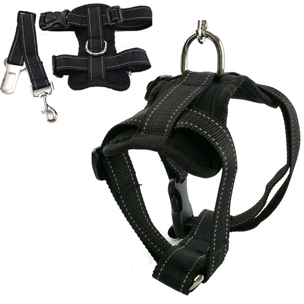 dog hat py0023-23