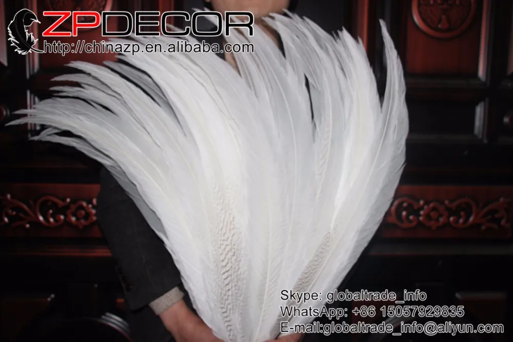 65-70cm silver pheasant feathers left (7)