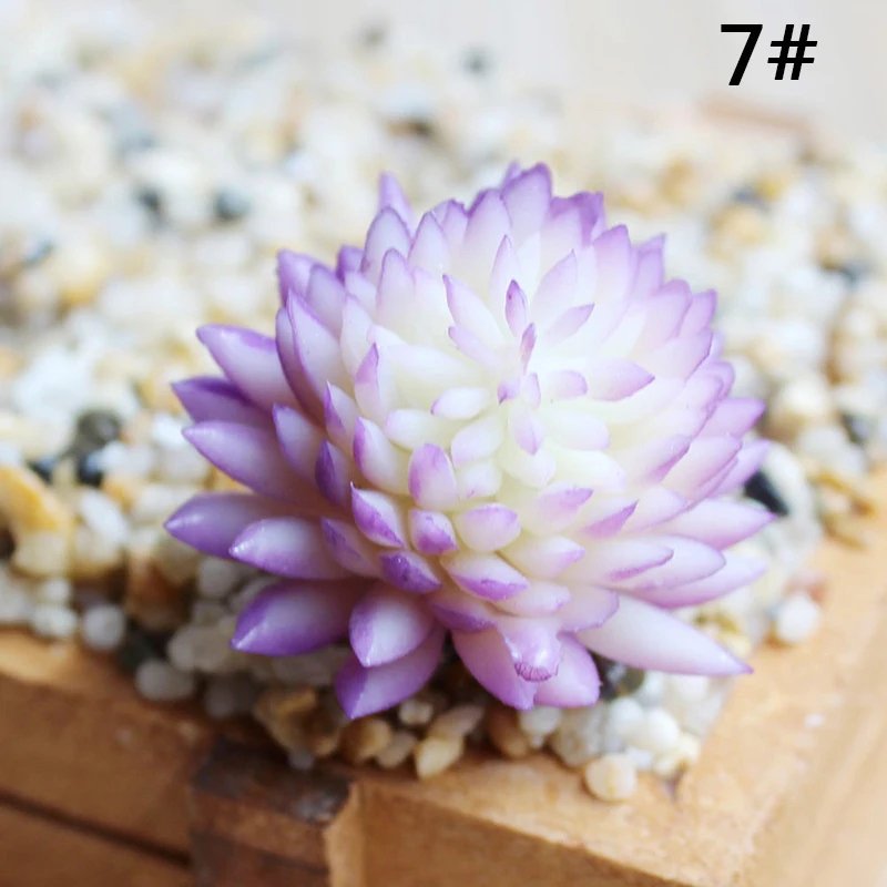 

Artificial Plastic Miniature Succulent Plant Cactus Echeveria Flower Decor Gift