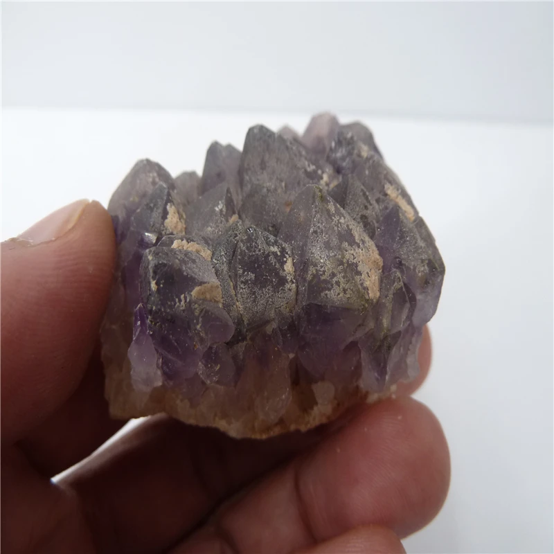 P1500452
