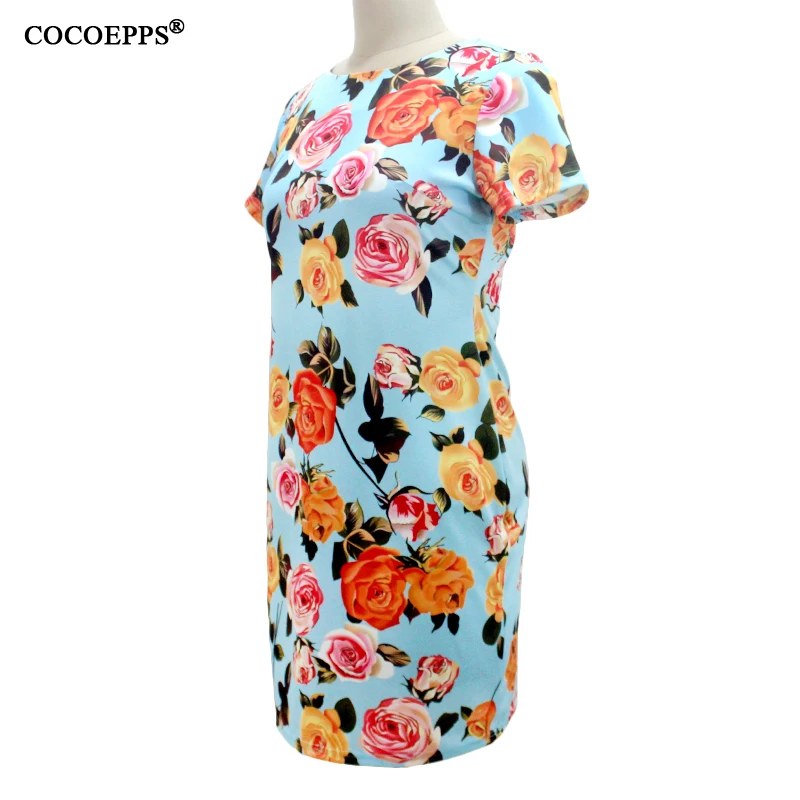 COCOEPPS26