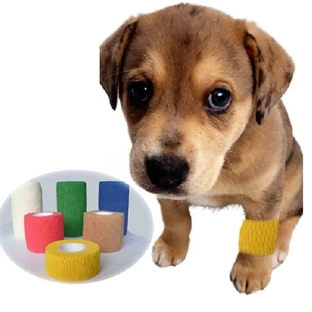 Buy 1pc/lot Colorful Elastic Pet Bandage Vet Cohesive