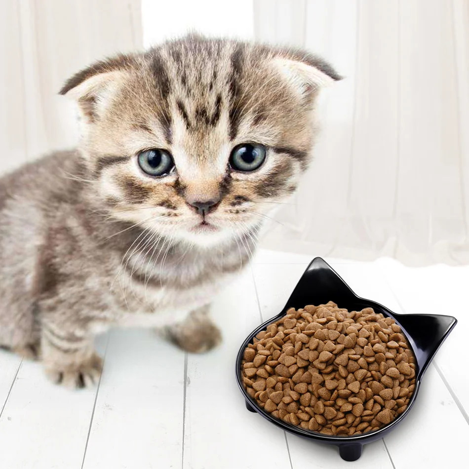 bowl for cat