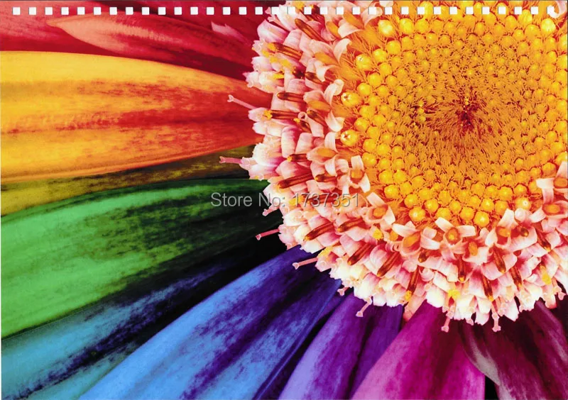 Epson Hp Canon Pigment ink dye ink (9)