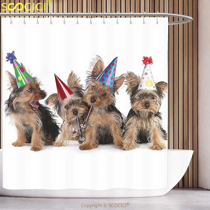 yorkshire terrier rescue centres