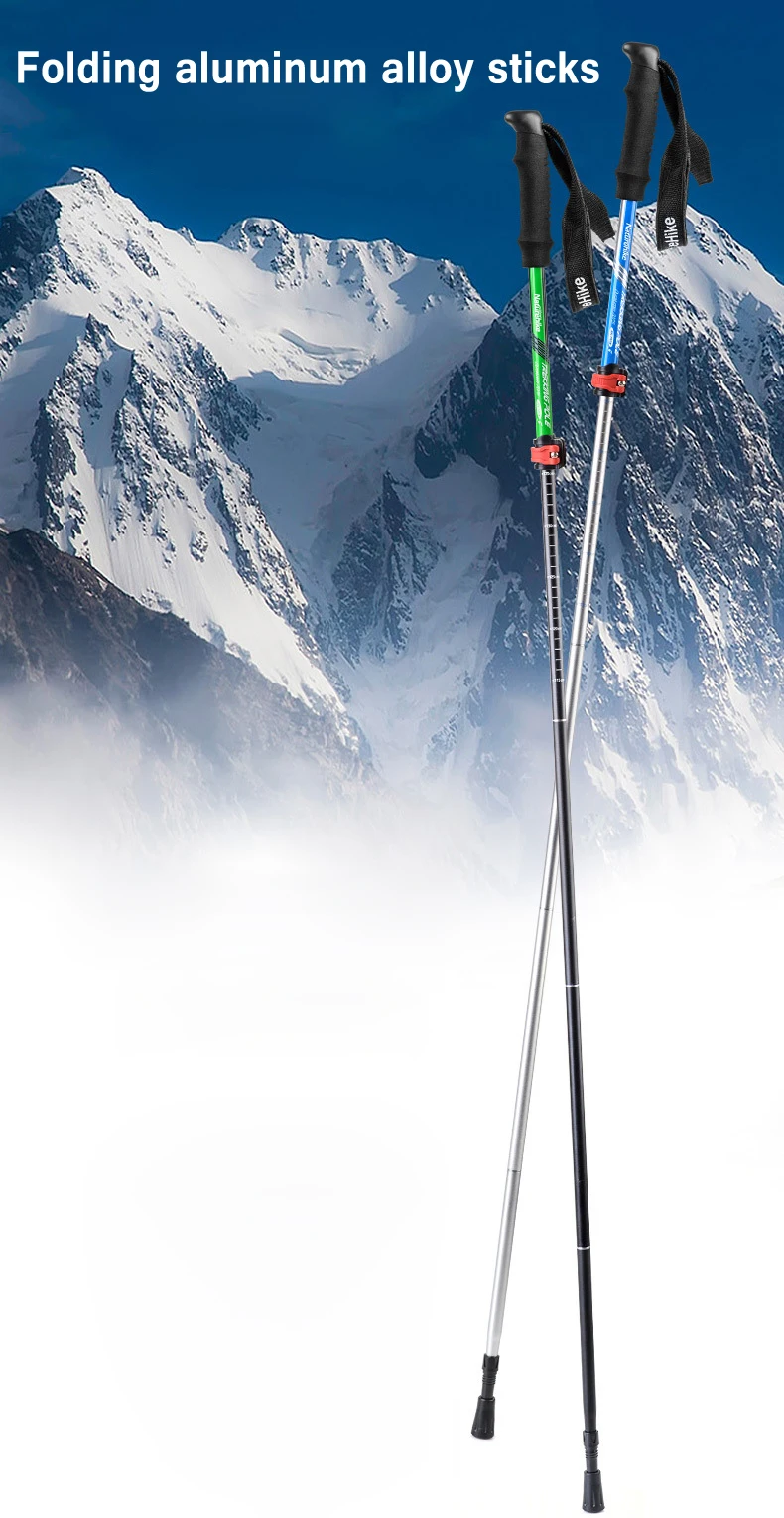 4230251175_881895677