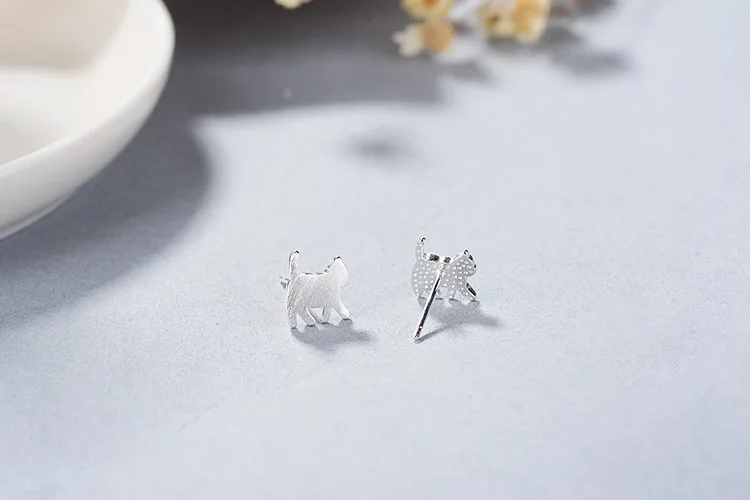 9823678152_1039125567