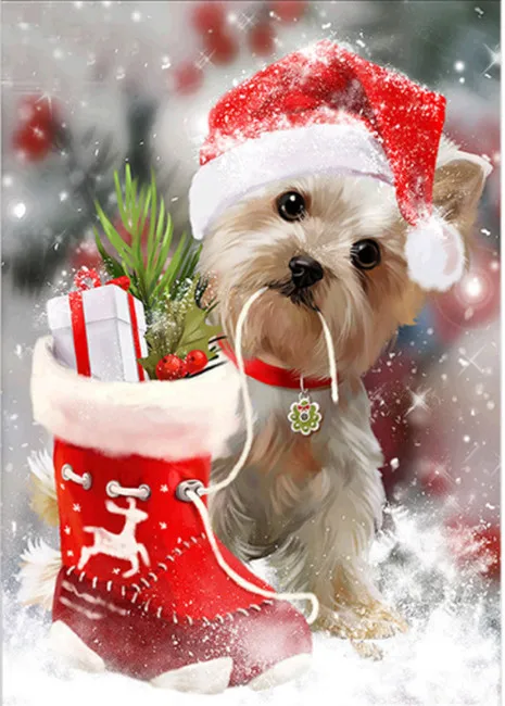 QQ20181229110949_