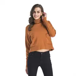 Новый длинный рукав карман теплые осень-зима женский толстый свитер BFD5648