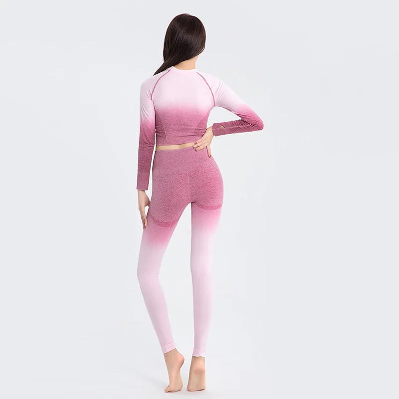 Women Tracksuit Yoga Wear Leggings Tights Seamless Long Sleeve Sweatshirts Elastic Running Jogging Fitness Gym Yoga Outfit Set Women Tracksuit Yoga Wear Leggings Tights Seamless Long Sleeve Sweatshirts Elastic Running Jogging Fitness Gym Yoga Outfit Set