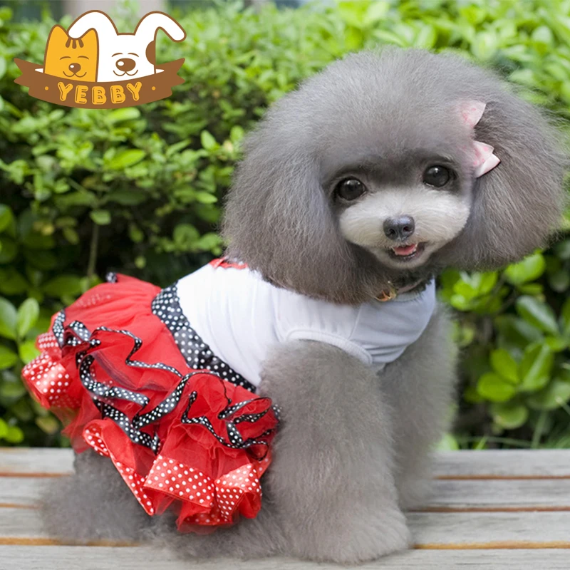 Шпиц померанский в одежке. Шпиц в одежде. Шпиц в одежде. Комбинезон для собак кузер. Одежда для померанского шпица девочки.