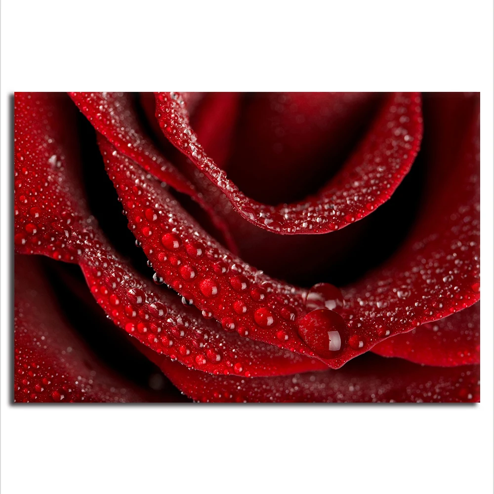 1 Panel Rose Wall Art Canvas Painting, Rose Canvas Prints Wall Decor Sticker Art for Living Room