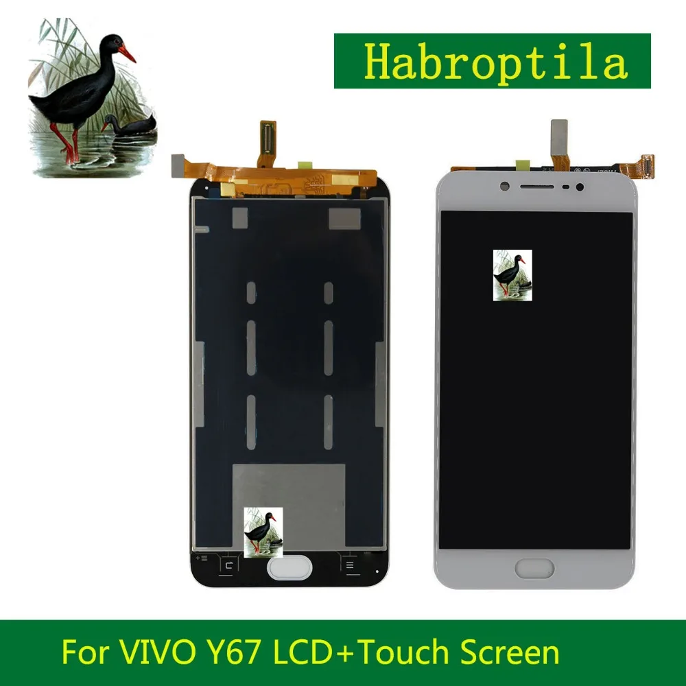 VIVO 67