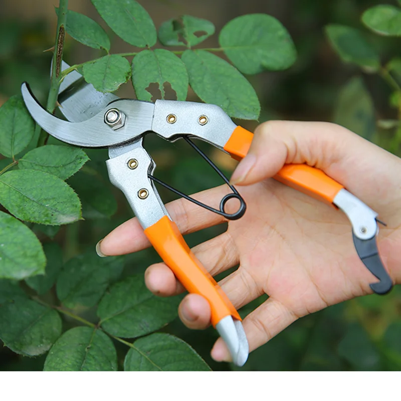 Острые Подрезка растений в садоводстве ножницы ferramentas de bonsai ветки дерева для