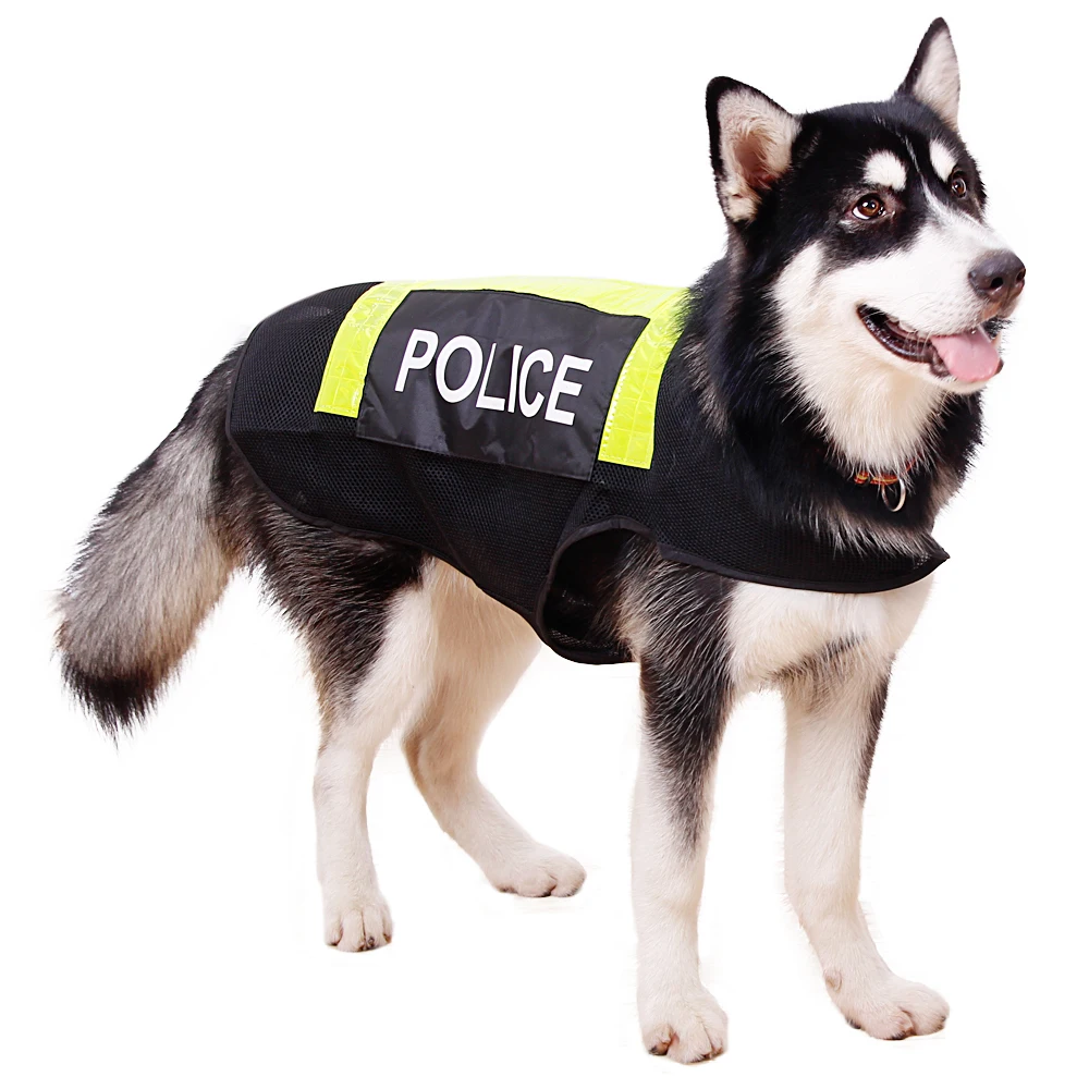 Big Dog Clothing Stores Big Dog Clothing Stores