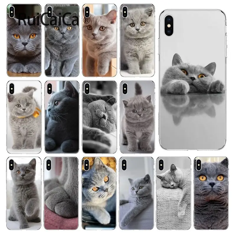 

Ruicaica British Shorthair cat Smart Cover Transparent Shell Phone Case for iPhone 8 7 6 6S Plus 5 5S SE XR X XS MAX Coque Shell
