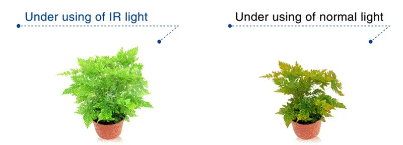 Populargrow, 3 шт./лот, 300 Вт, светодиодная лампа для выращивания растений, профессиональная, полный спектр, настоящий ИК, для роста растений, для помещений, гидро освещение, США/DE