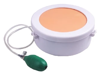 

Caesarean section incision suture model skin suture training vascular bowel model