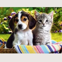 Полная дрель 5D DIY Алмазная картина фото на заказ "собака и кошка" 3D вышивка крестиком Мозаика Декор наклейка RS1461