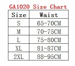 GA1020-info
