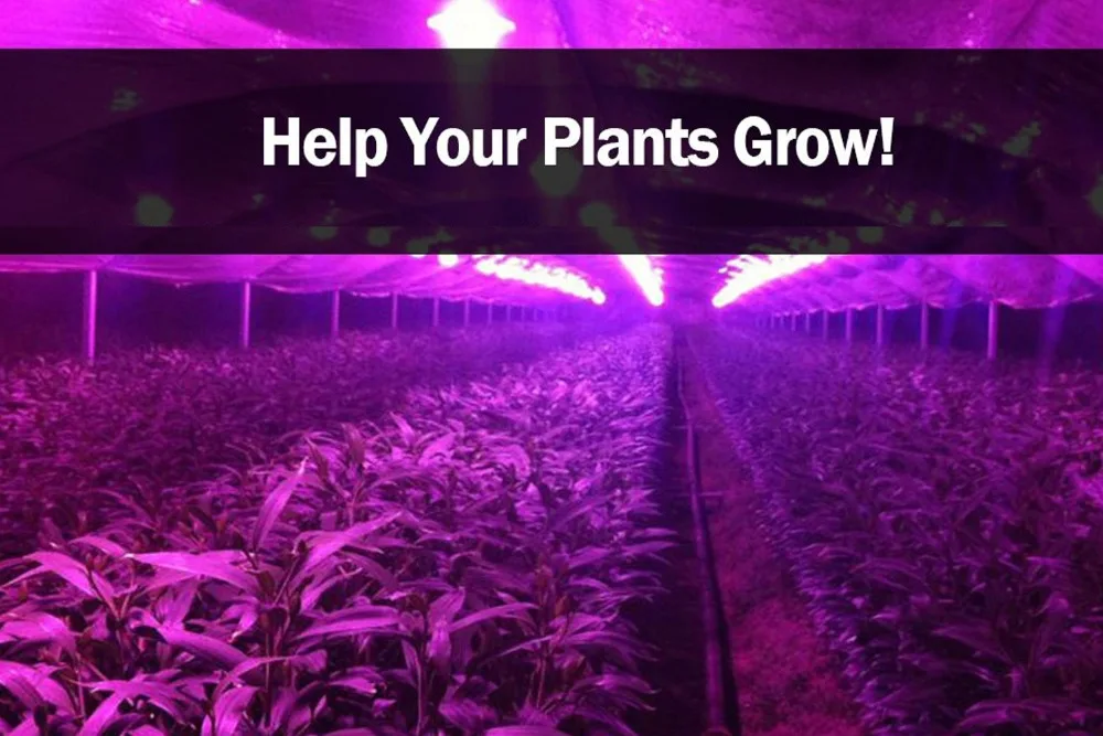 HTB1bzhhKyLaK1RjSZFxq6ymPFXaN