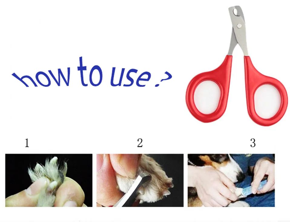 1 PCS Metallic red scissors for cats Solid and durable scissors for claws cat cats products for pets cat nails                   (2)