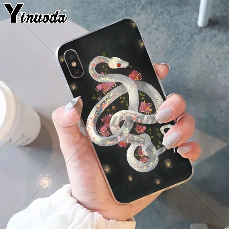 Animal The Snake and Fern