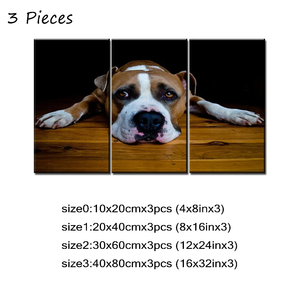 3P- 