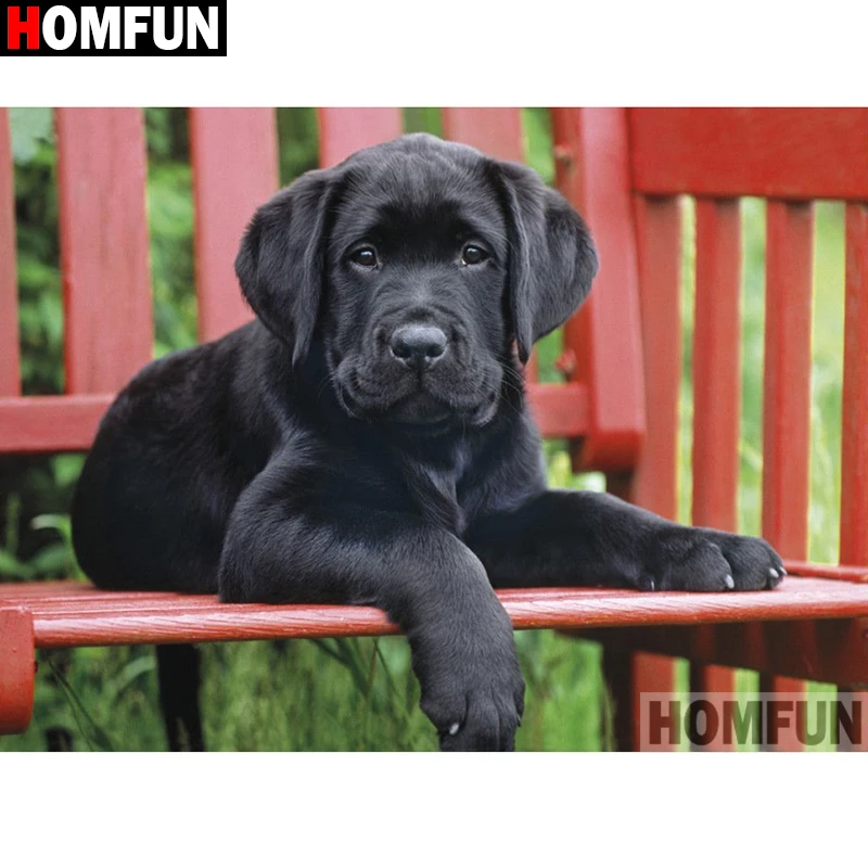 HOMFUN Full Square/Round Drill 5D DIY Diamond Painting &quotdog&quot Embroidery Cross Stitch Home A08187 | Дом и сад