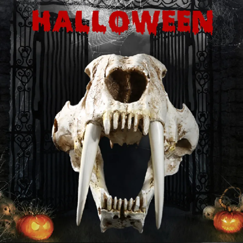 

Resin Craft Saber-Toothed Tiger Skull Statues Decoration Creative Bar Decoration Skull Sculpture Home Ornaments
