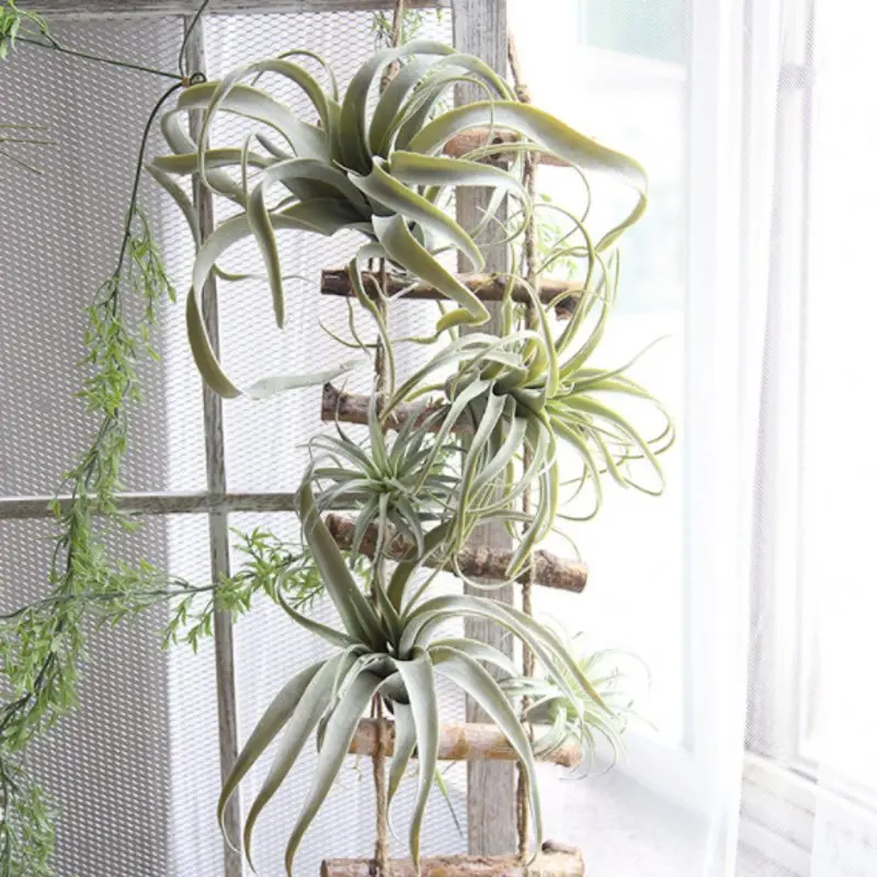 

New arrival artificial air plant Tillandsia artificial plant succulent Pineapple leaf