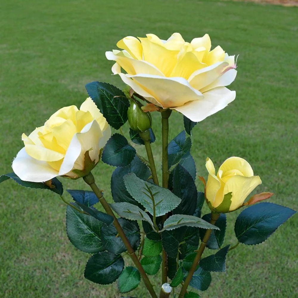 71ROeseqcdL._SL1100_