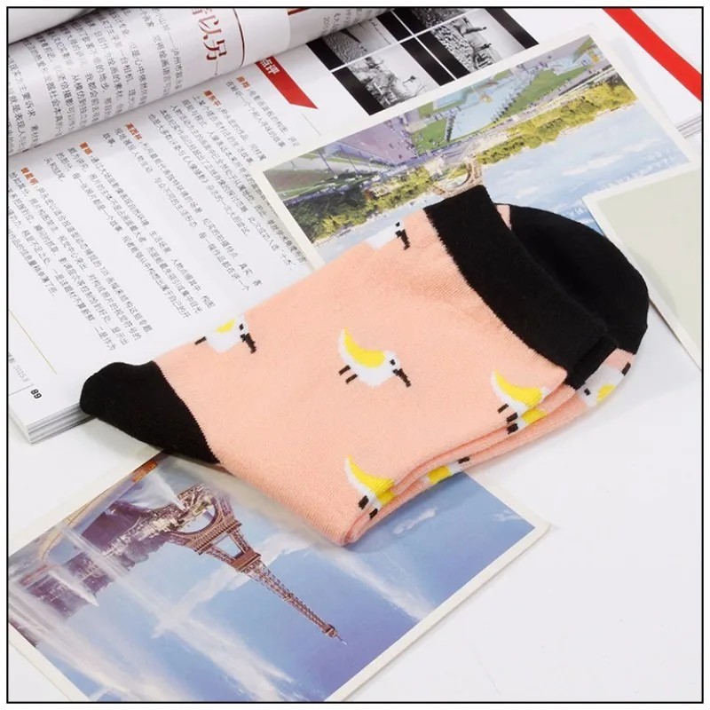 conew_1 (5)